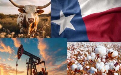 Why Banking Local Makes a Difference for Your Finances